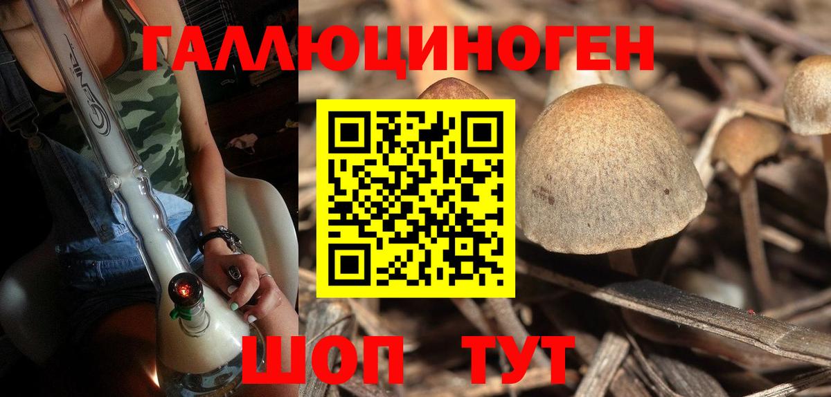 Галлюциногенные грибы прущие грибы Сыктывкар