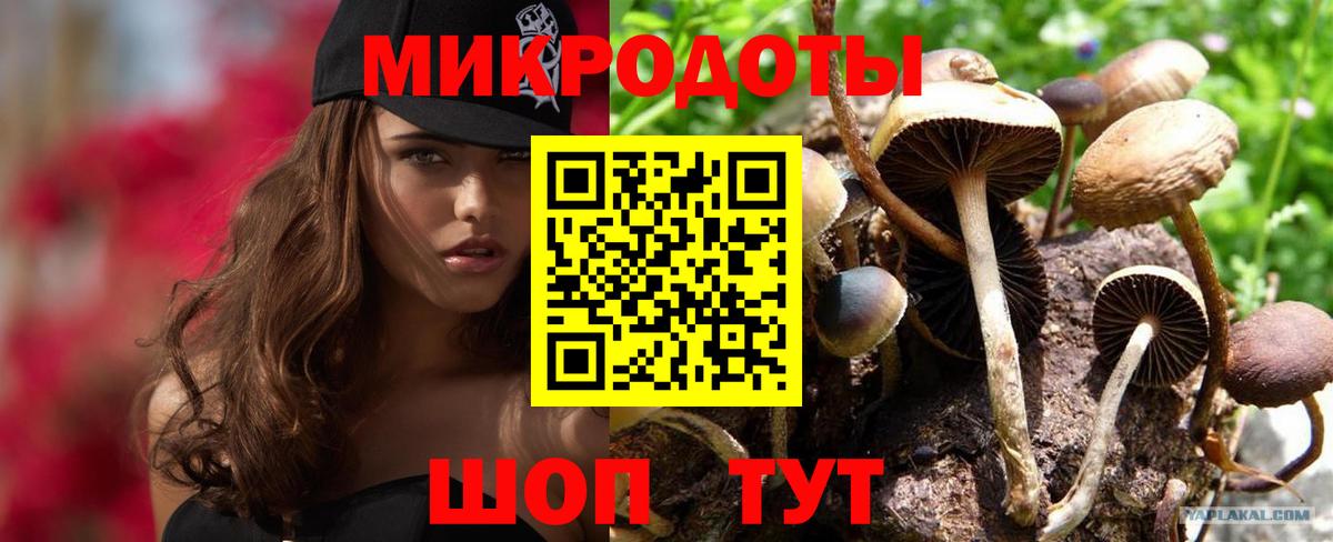 Галлюциногенные грибы мицелий  Вход с VPN  где купить наркоту  Сыктывкар  Галлюциногенные грибы Psilocybine cubensis 